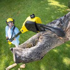 Lawn Edging in Rosedale, WA